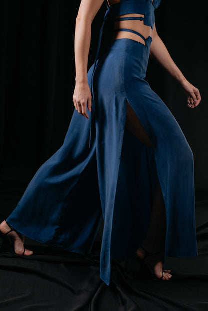 Costume pants and top