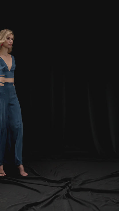 Costume pants and top